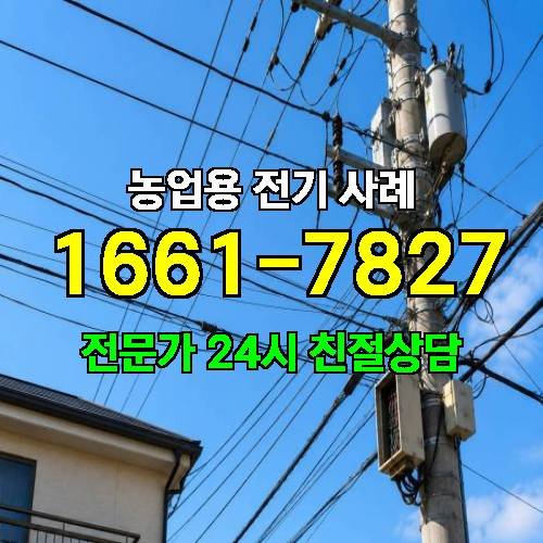 게시판 이미지 269