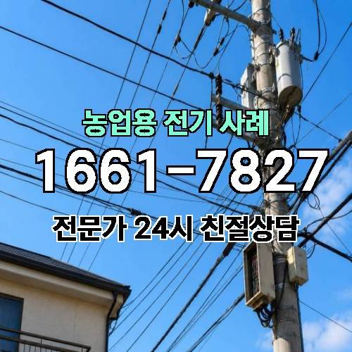 게시판 이미지 2856