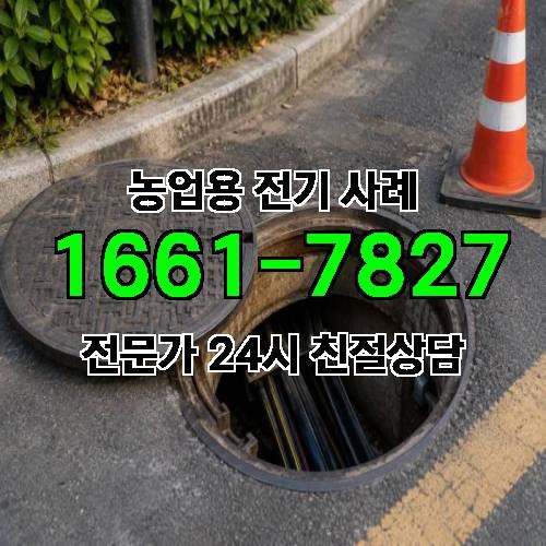 게시판 이미지 2918