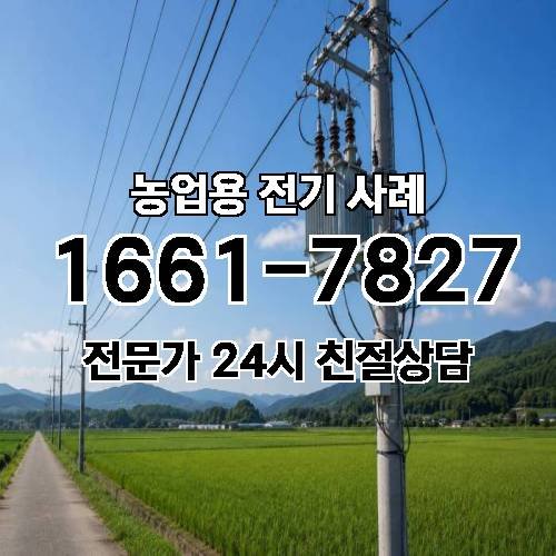 게시판 이미지 3125