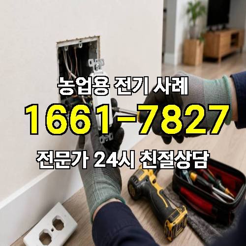 게시판 이미지 3132