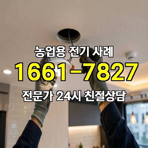 게시판 이미지 3170