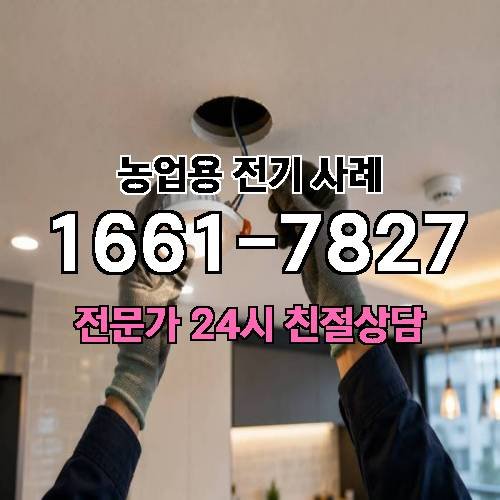 게시판 이미지 3307