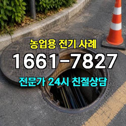 게시판 이미지 34