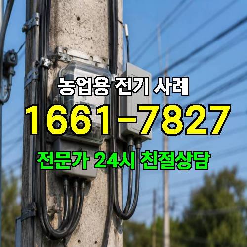 게시판 이미지 3436