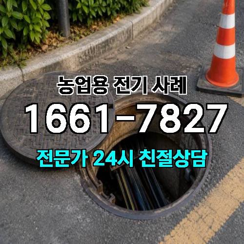 게시판 이미지 3571