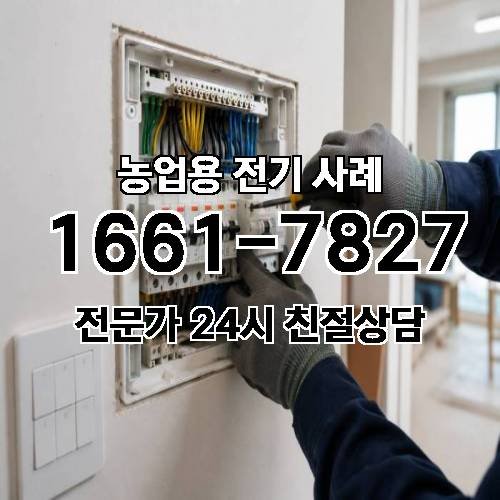 게시판 이미지 382