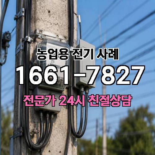 게시판 이미지 4421