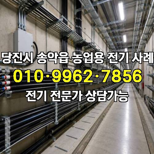 게시판 이미지 4451