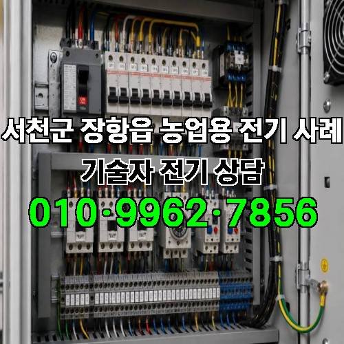 게시판 이미지 4538
