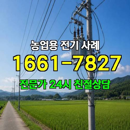 게시판 이미지 4642