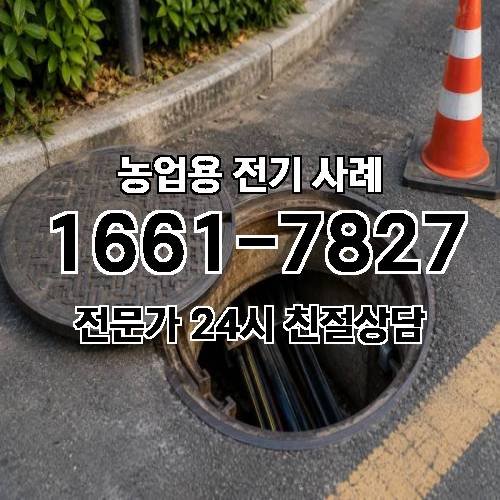 게시판 이미지 4828