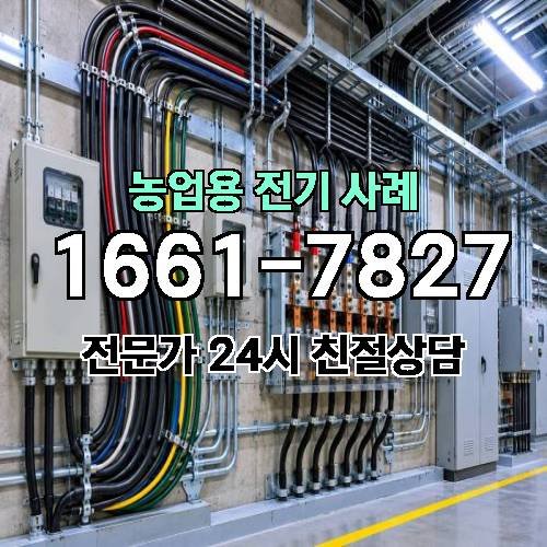 게시판 이미지 575