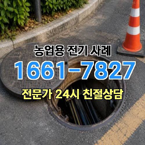 게시판 이미지 577