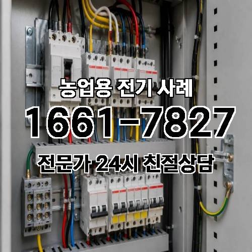 게시판 이미지 582