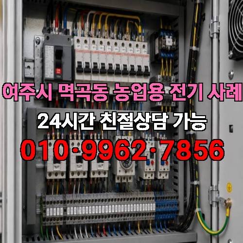 게시판 이미지 789