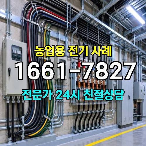 게시판 이미지 873
