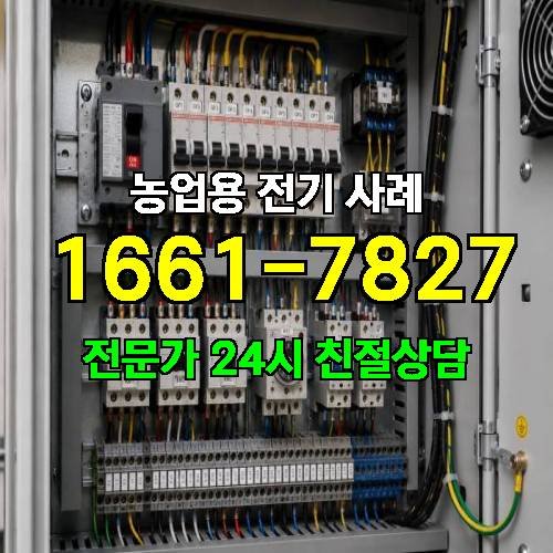 게시판 이미지 911