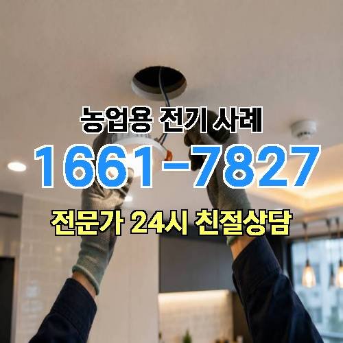 게시판 이미지 929