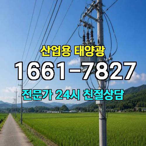 게시판 이미지 1116
