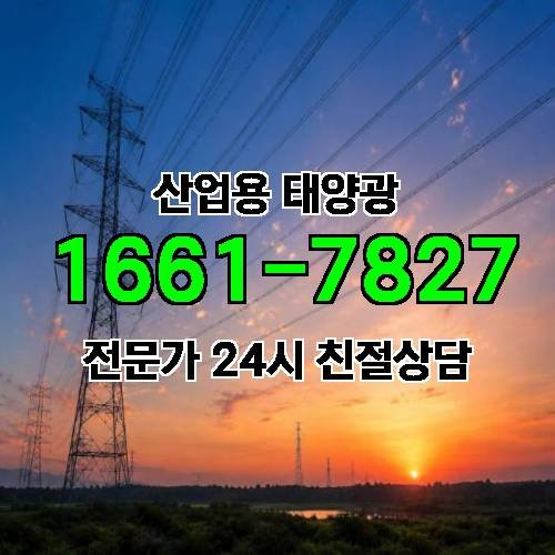 게시판 이미지 1117