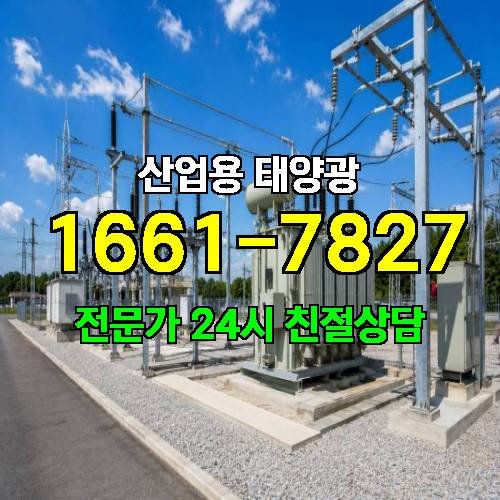게시판 이미지 1246