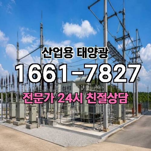 게시판 이미지 1260