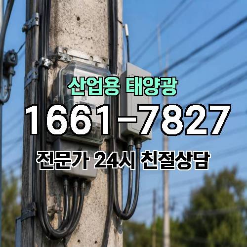 게시판 이미지 1403