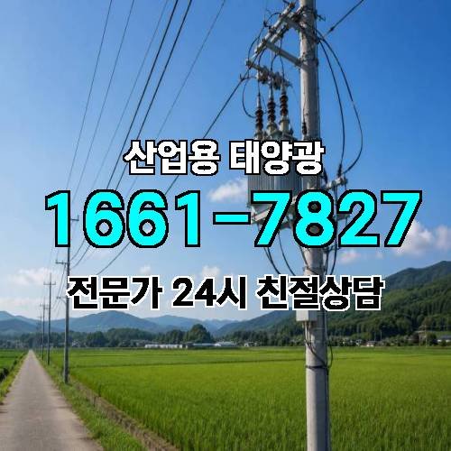 게시판 이미지 1416