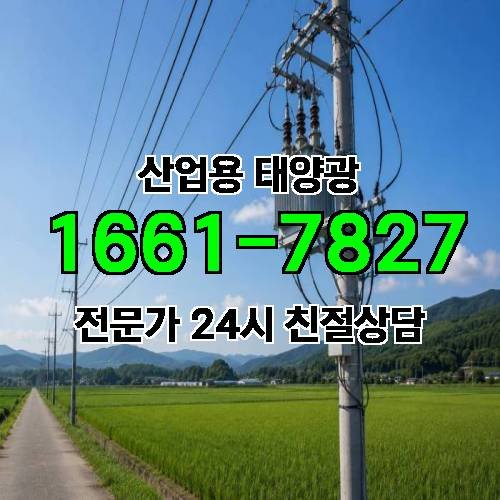 게시판 이미지 2294