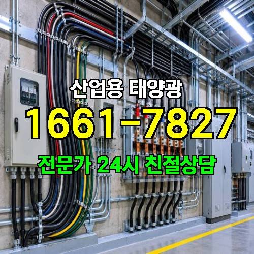 게시판 이미지 2504