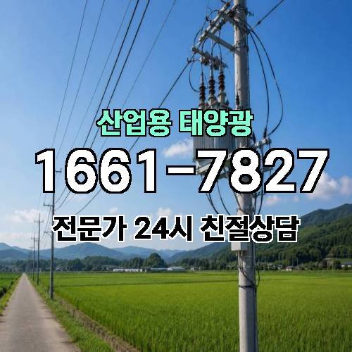 게시판 이미지 2559