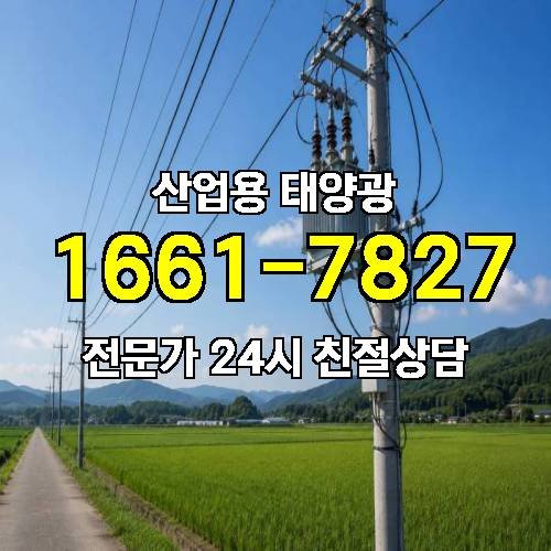 게시판 이미지 2668