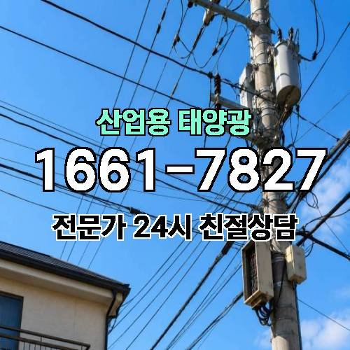 게시판 이미지 2751