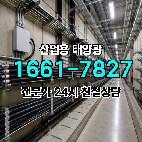 게시판 이미지 2763