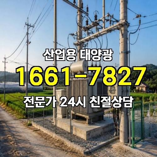 게시판 이미지 2813