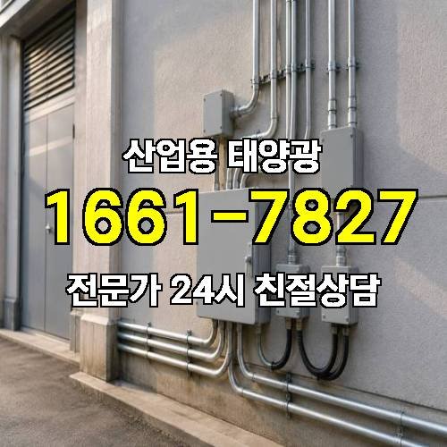 게시판 이미지 3087