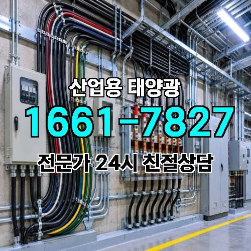 게시판 이미지 3089