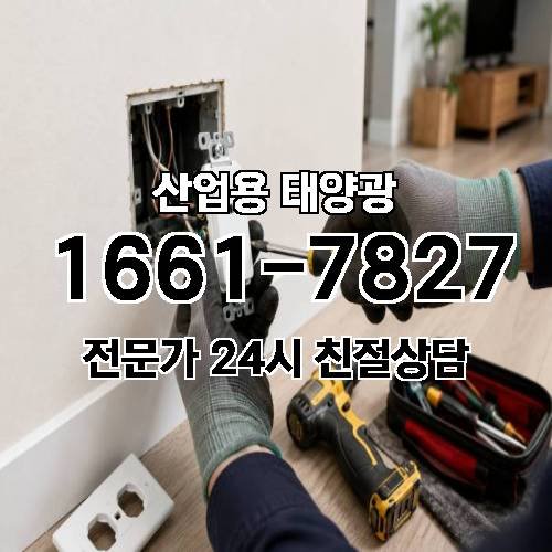게시판 이미지 3116