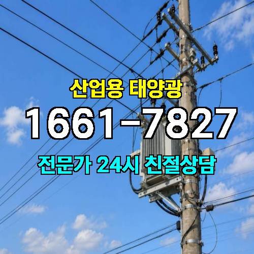 게시판 이미지 3148