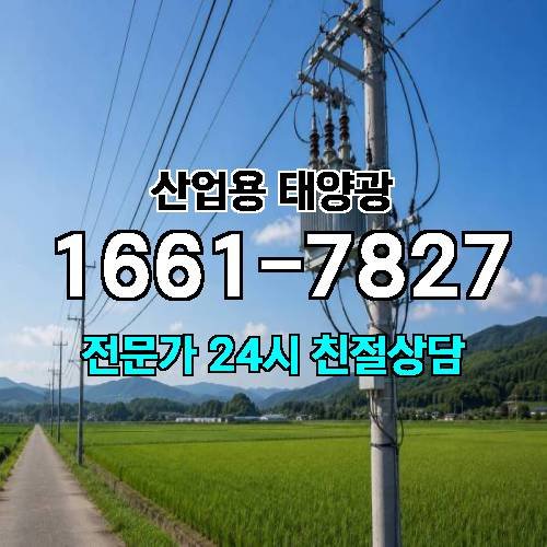 게시판 이미지 3220