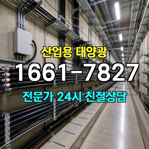 게시판 이미지 3266