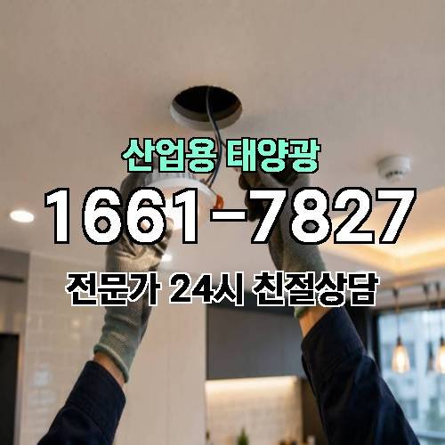 게시판 이미지 3301