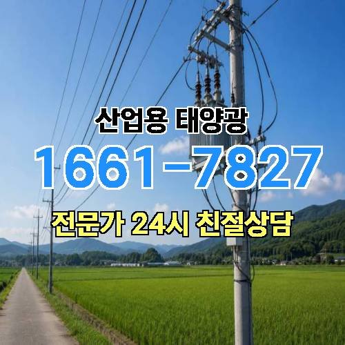 게시판 이미지 3366