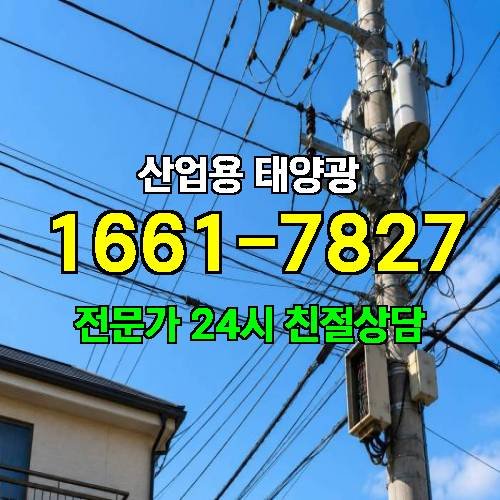 게시판 이미지 3435