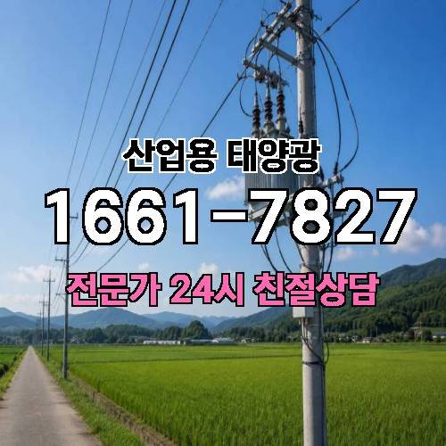게시판 이미지 382