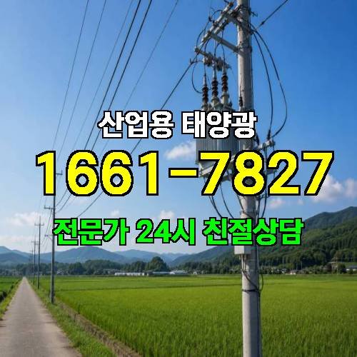 게시판 이미지 3833