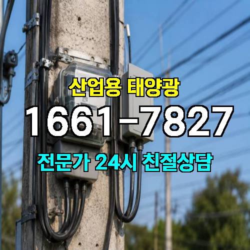 게시판 이미지 393