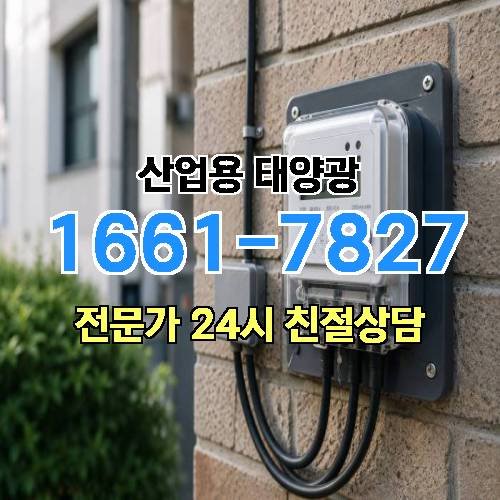 게시판 이미지 4019