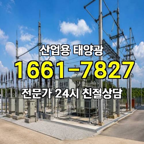 게시판 이미지 4216